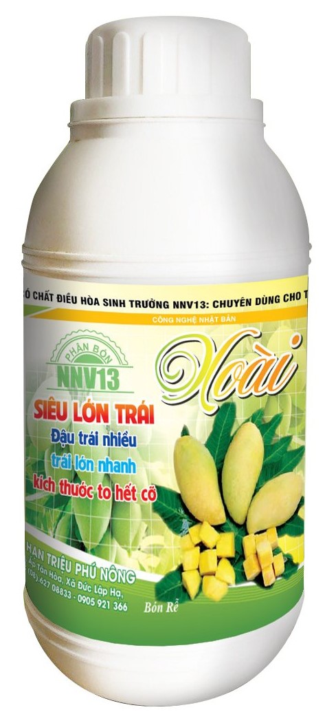 Siêu lớn trái xoài